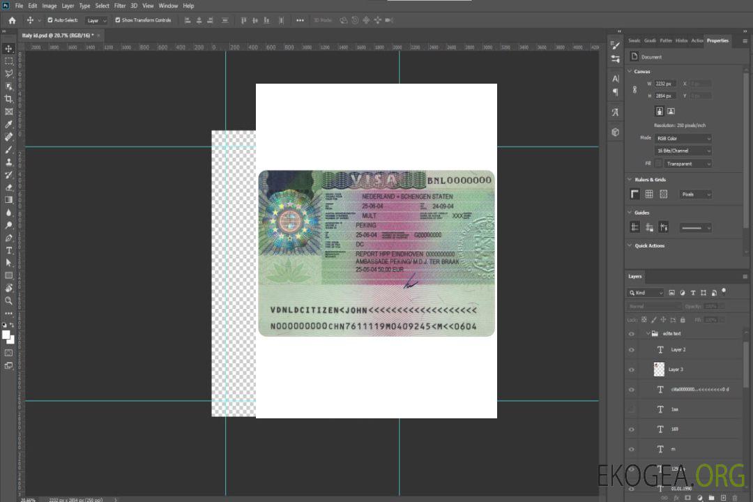 Visa PAYS-BAS template